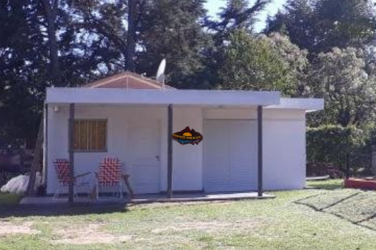 Diseño sin título (100)